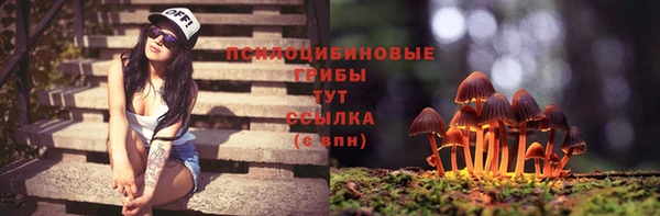 меф Пестово