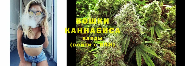 ГАЛЛЮЦИНОГЕННЫЕ ГРИБЫ Алзамай