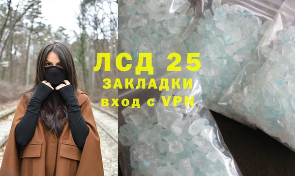 ГАЛЛЮЦИНОГЕННЫЕ ГРИБЫ Алзамай