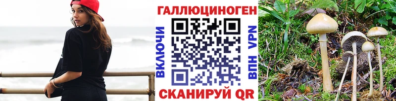 Псилоцибиновые грибы прущие грибы  Сельцо 
